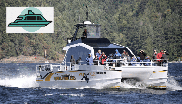 Summer Whale Watching Tours Victoria, BC | Eagle Wing Tours